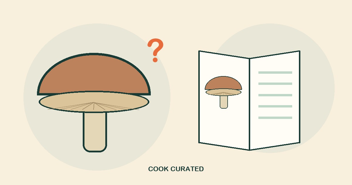 Original stylized illustration of a mushroom, an open field guide, and a question mark; not an identification image